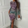 Main Character Multi Ombre Zebra Print Ruched Dress