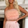 Wild Bloom Blush Pink Mesh Ruffle Crop Top