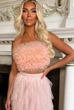 Wild Bloom Blush Pink Mesh Ruffle Crop Top