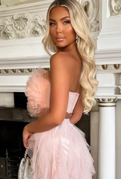 Wild Bloom Blush Pink Mesh Ruffle Crop Top